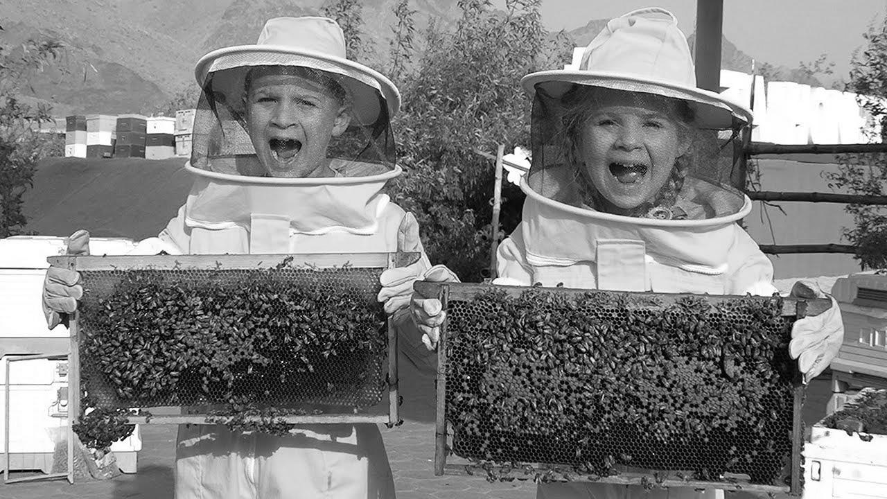 Diana and Roma Study Bees, HATTA Honey Bee Backyard Tour – Fun family trip