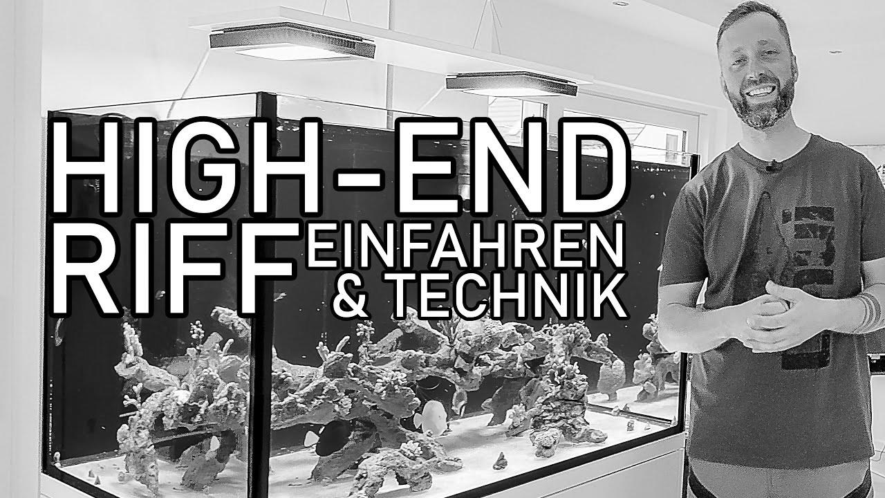 HIGH-END saltwater aquarium |  Issues when operating in, fish & technology EXPLAINED (600l)